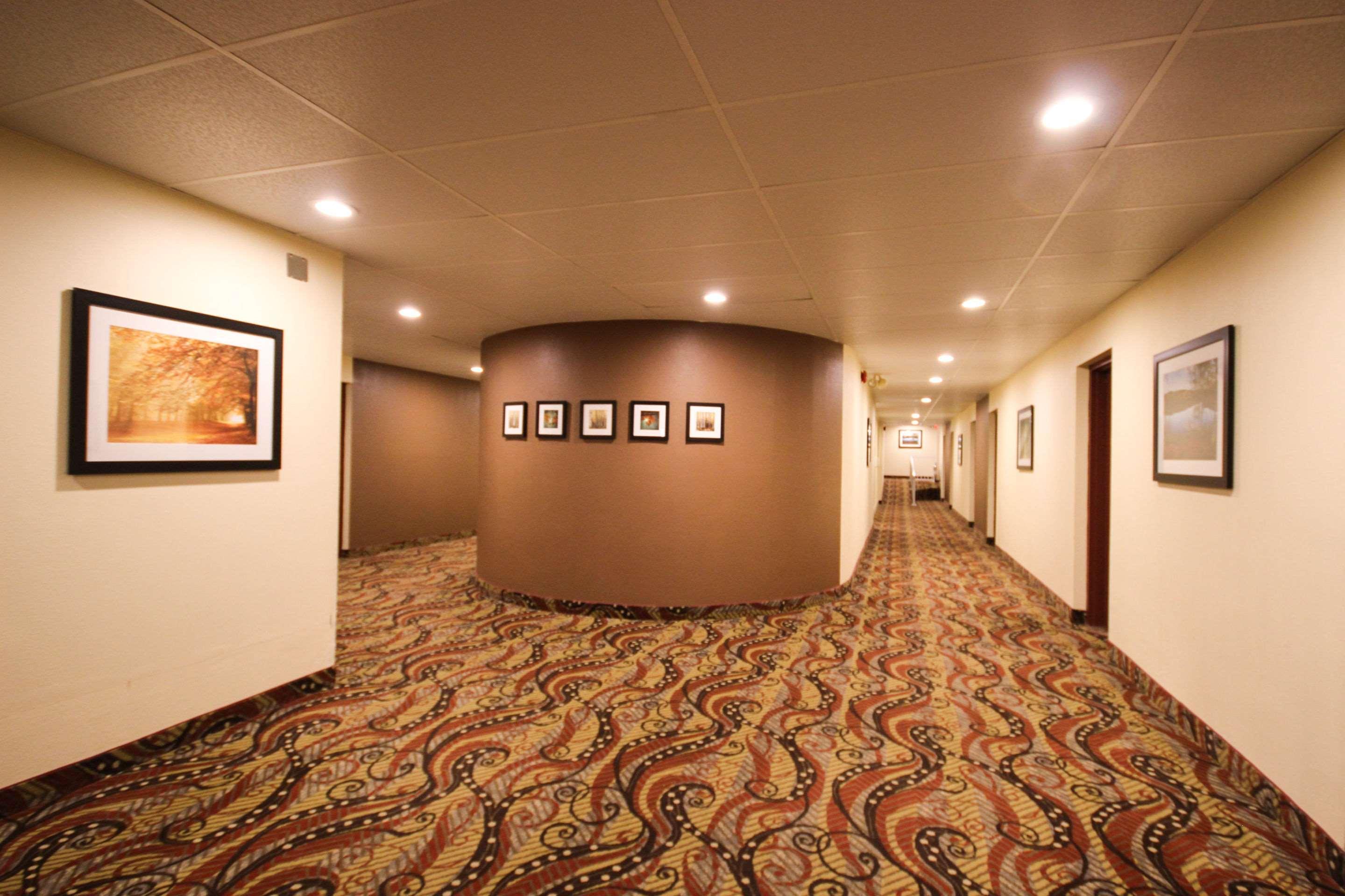 Quality Inn Bracebridge Buitenkant foto